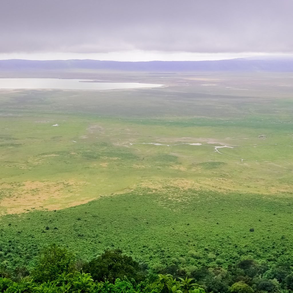 Ngorongoro Conservation Area