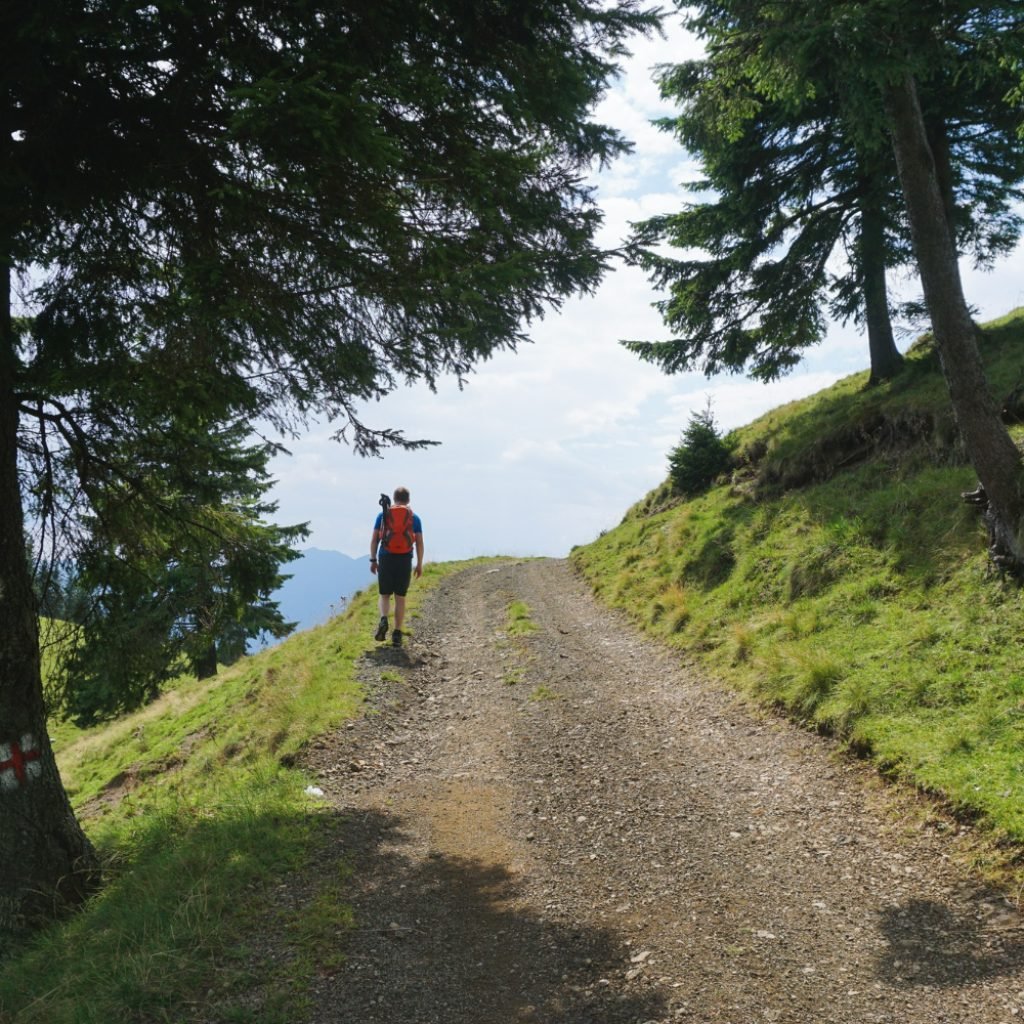 Campuhan Ridge Walk