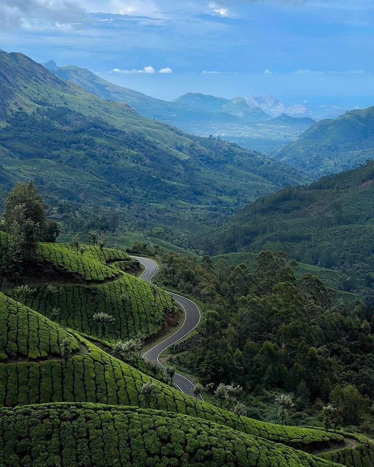 Best of Kerala – Hill Stations, Wildlife & Backwaters