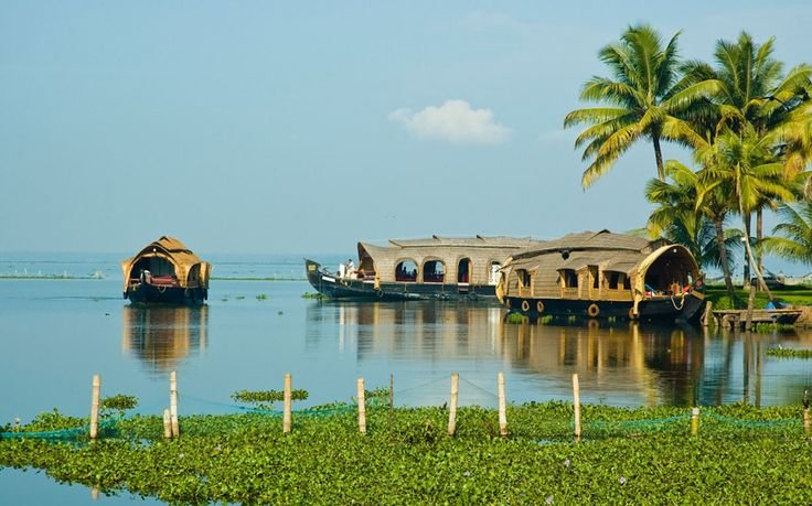 Kerala Bliss Tour – Mountains, Wildlife & Waters