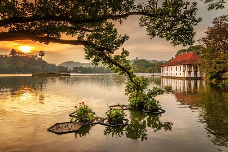 SRILANKA For 5 D / 4 N