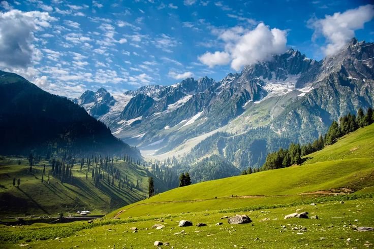 Kashmir Experience Tour Package