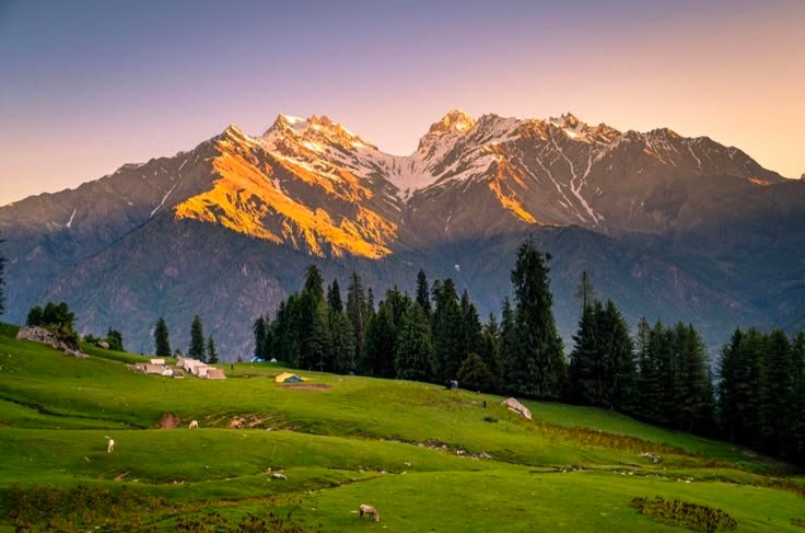 Kashmir Delight Tour Package – 6 Days / 5 Nights