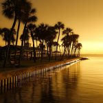 Top 10 places to scout in Kerala