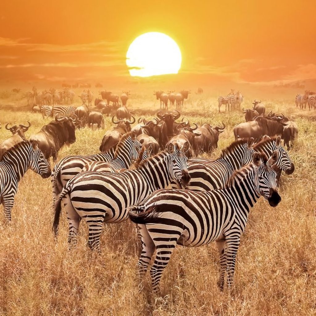 Serengeti National Park